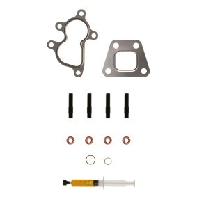 Comprar Juego de montaje, turbocompresor de ALANKO 10920354 a bajo precio de 38,07 €