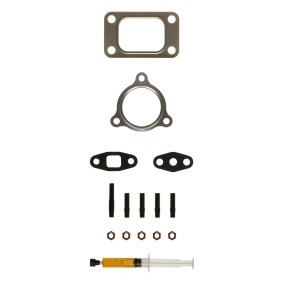 Comprar Juego de montaje, turbocompresor de ALANKO 10920382 a bajo precio de 31,93 €