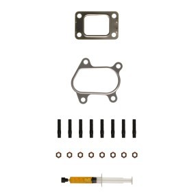 Acquista Kit montaggio turbocompressore da ALANKO 10920391 a buon mercato per soli 25,64 €