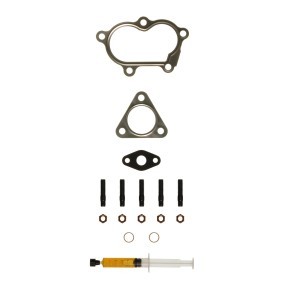 Comprar Juego de montaje, turbocompresor de ALANKO 10920456 a bajo precio de 28,38 €