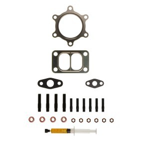 Comprar Juego de montaje, turbocompresor de ALANKO 10920517 a bajo precio de 48,58 €