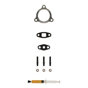 Comprar Juego de montaje, turbocompresor de ALANKO 10920599 a bajo precio de 23,08 €