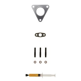 Acquista Kit montaggio turbocompressore da ALANKO 10920725 a buon mercato per soli 32,64 €