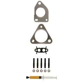 Acquista Kit montaggio turbocompressore da ALANKO 10920927 a buon mercato per soli 37,48 €