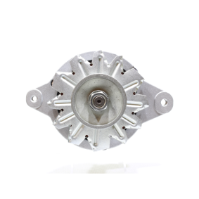 Lichtmaschine 11441368