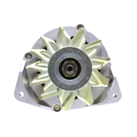 Lichtmaschine 11442524
