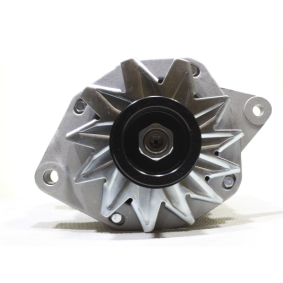 Køb Generator af ALANKO 11442545 til den lave pris 813,27 DKK