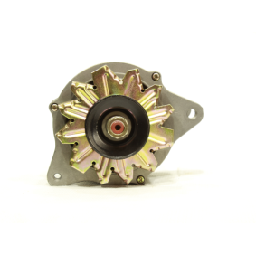 Lichtmaschine 11442761