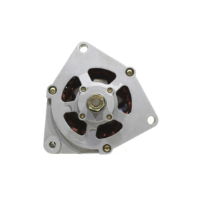 Lichtmaschine 11443251