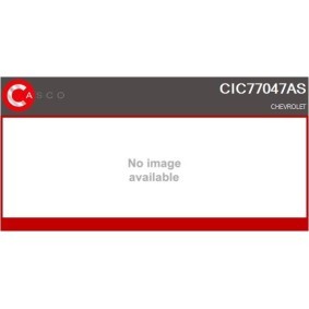 Riemenscheibe, Generator CCP90148AS