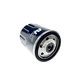Kraftstofffilter für NISSAN von AVS AUTOPARTS