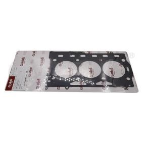 Compre Junta, cabeça do motor da VIKA 11030153001 a um preço baixo por 27,49 €