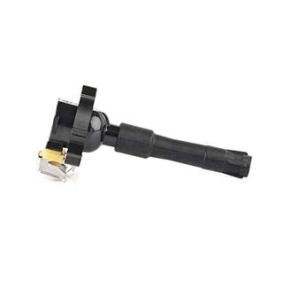 Köp Tändspole av BSG BSG 15-835-003 till det låga priset 628,86 kr