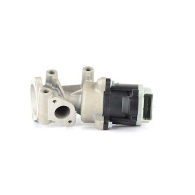 Comprar Válvula EGR de BSG BSG 15-836-002 a bajo precio de 178,26 €