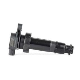 Köp Tändspole av BSG BSG 40-835-002 till det låga priset 547,50 kr