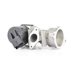 Comprar Válvula EGR de BSG BSG 70-836-003 a bajo precio de 142,17 €