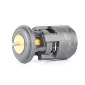 VOLKSWAGEN Kühlwasserthermostat von BSG