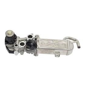 Comprar Modulo EGR de BSG BSG 90-836-011 a bajo precio de 235,09 €