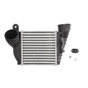 Köp Intercooler av THERMOTEC DAA009TT till det låga priset 1253,08 kr