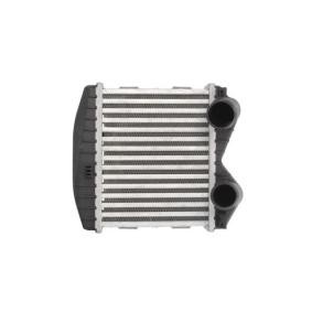 Köp Intercooler av THERMOTEC DAM012TT till det låga priset 1232,96 kr