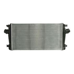Köp Intercooler från THERMOTEC på nätet till Astra Mk VI (J) GTC (P10) till schyssta priser