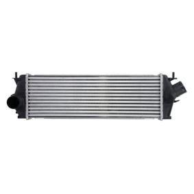 Köp Intercooler av THERMOTEC DAX014TT till det låga priset 1050,76 kr