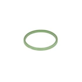 Dichtring, Ladeluftschlauch DXW008TT