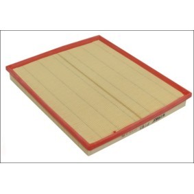 Luftfilter P195