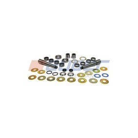 Acquista Kit riparazione, Perno fuso a snodo da AUGER 55217 a buon mercato per soli 131,99 €