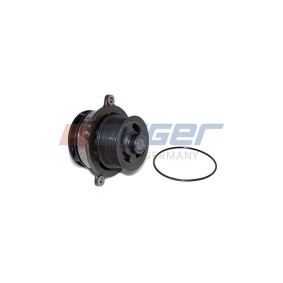 Achetez des Pompe à eau AUGER 68605 à prix pour 155,88 €