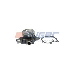 Achetez des Pompe à eau AUGER 70210 à prix pour 171,19 €