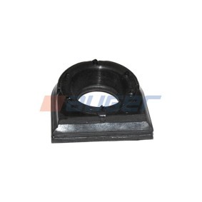 Dichtung, Düsenhalter 71610 für DAF