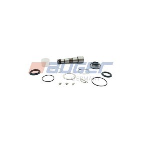 Acquista Kit riparazione, Perno fuso a snodo da AUGER 73413 a buon mercato per soli 69,71 €