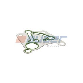 Dichtung, Einspritzpumpe 76955