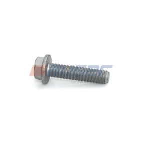 Schraube, Bremsscheibe 77249