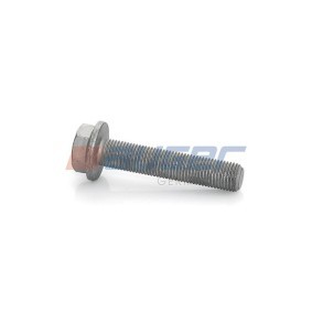 Schraube, Bremsscheibe 77251