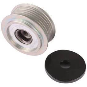 Achetez des Poulie, alternateur PowerMax 81119963 à prix pour 43,51 €