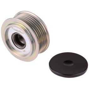 Achetez des Poulie, alternateur PowerMax 81120046 à prix pour 43,51 €