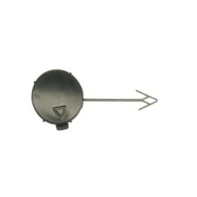 Klappe, Abschlepphaken 5513-00-9564920P