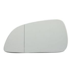 Spiegelglas, Außenspiegel 6102-02-0404491P