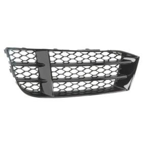 Acquista Griglia paraurti da BLIC 6502-07-0038913P a buon mercato per soli 56,85 €