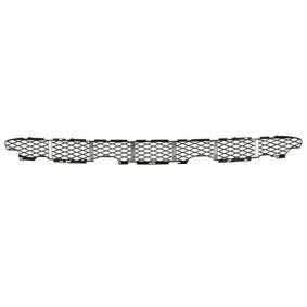 Lüftungsgitter, Stoßfänger 6502-07-0095910P