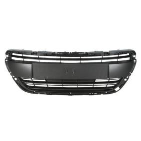 Kühlergrill 6502-07-5509992P