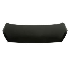 Motorhaube 6803-00-3121280P