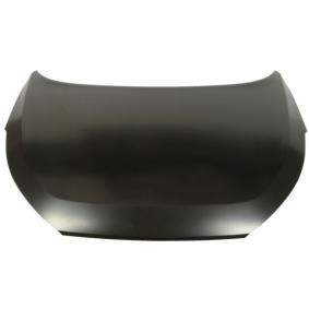 Motorhaube 6803-00-3177280P