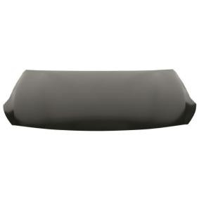 Motorhaube 6803-00-3222280P