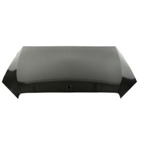 Motorhaube 6803-00-3521280P