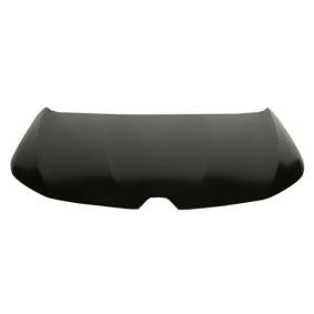 Motorhaube 6803-00-6044280P