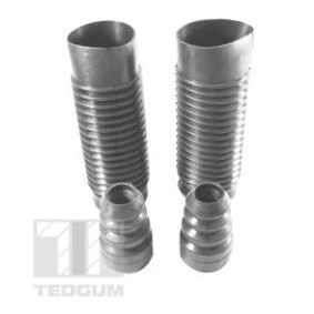Staubschutzsatz, Stoßdämpfer TED90519