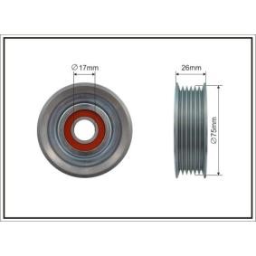 Spannrolle, Keilrippenriemen 500484